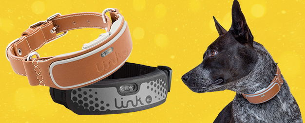 fast accurate reliable gps dog collar link akc akc customer service