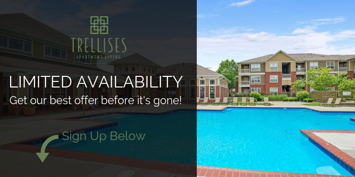 The Trellises Apartments In Florence Ky
